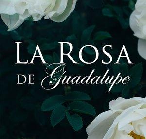 La Rosa de Guadalupe