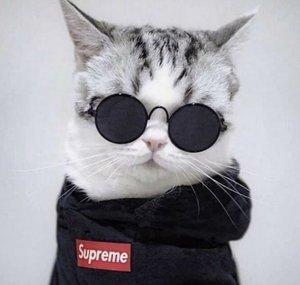 ManoSurfas