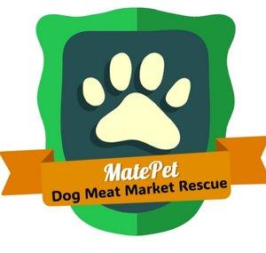MatePet--Dog Meat Market Rescue