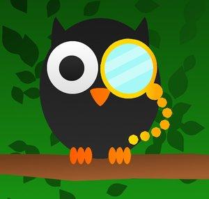 Operation TinkerOwl