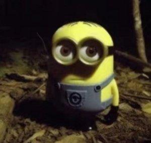 Pelu