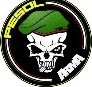 Pesol ArmA