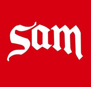 Save America Music