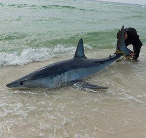 Spartan Tackle Fishing