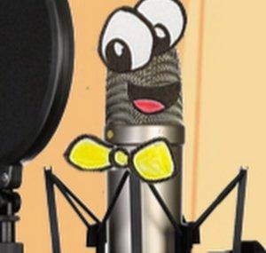 VoiceFOURHire