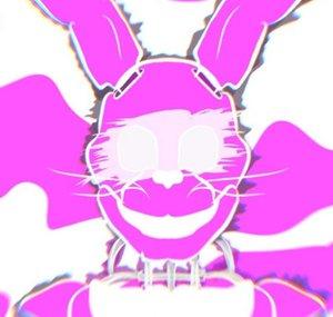 •V.X.N•