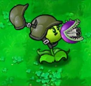 AIMOND PVZ