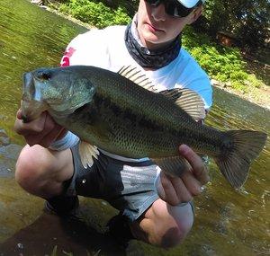 Bassin Beyond