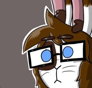 BunnyHawp