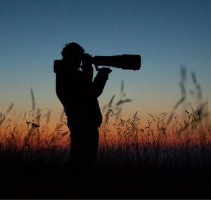 Fabian Fopp - Nature photography