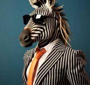 Jeff_de_Zebra