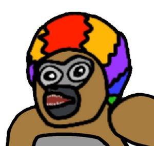 K9