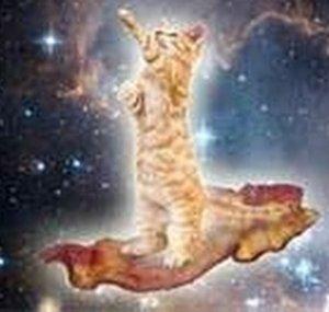 kittysinspace