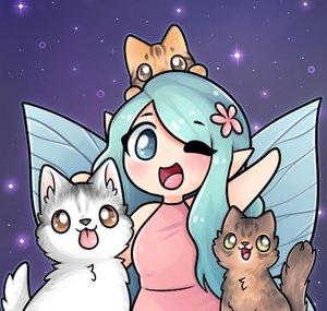 MysteriousPixie