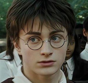 Potterhead Paintings