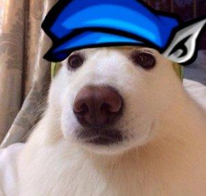 Suappi