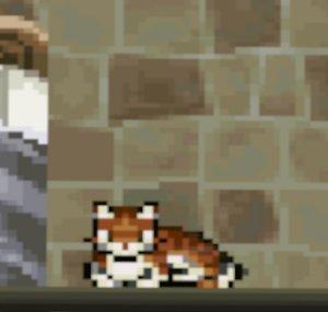ARandomCat