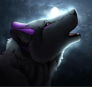 MIDNIGHTSKYWOLF