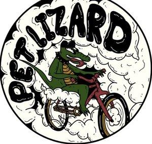 Pet Lizard