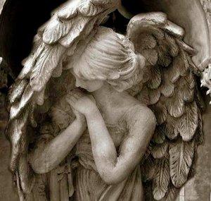 Angel Wise