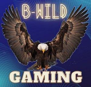 B-Wild Gaming Shorts