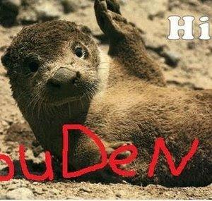 CODGUDEN