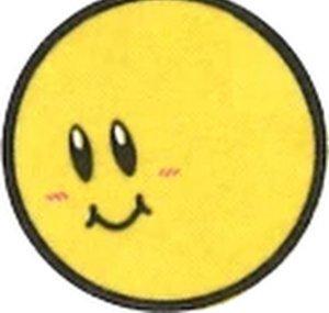 DS Channel