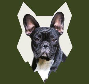 Fenrir French Bulldog Show