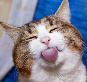 FunnyReactions