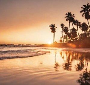 Sublime Serenity Vibes