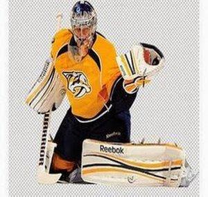thepredsrule