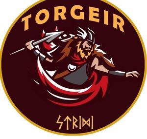Torgeir Airsoft
