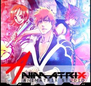 AnimatriXStudio