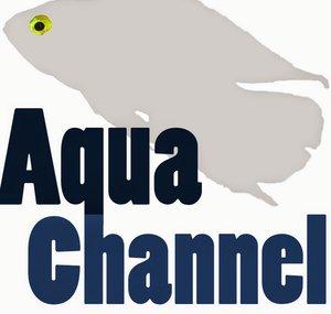 AquaChannel
