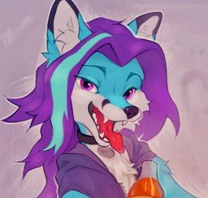 Blaufuchs