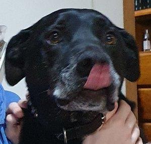 CAZER