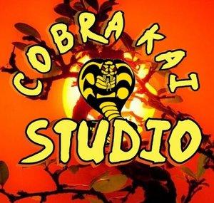 Cobra Kai Studio 