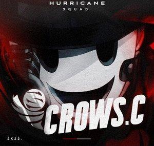 CrowS Corvus