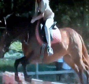 Equestriangirls000