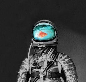 oddgrvty