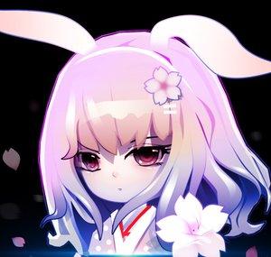 Sakura Rabbit