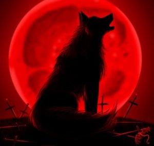 Thedarkwolf89891