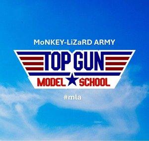 Top Gun Model School