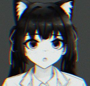 DnsTr+-