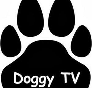 DoggyTV
