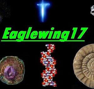 Eaglewing17