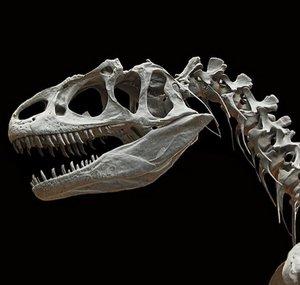 ExtinctZoo 