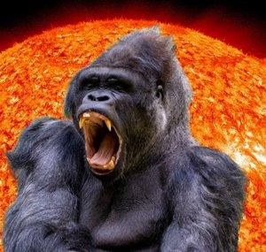 Gorilla Clips