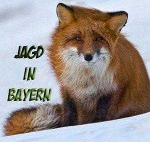 Jagd in Bayern