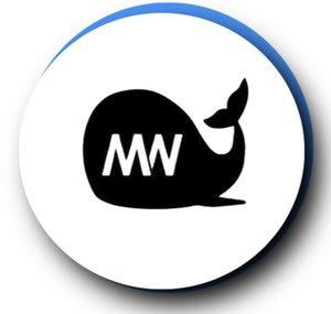 MegaWhale Crypto